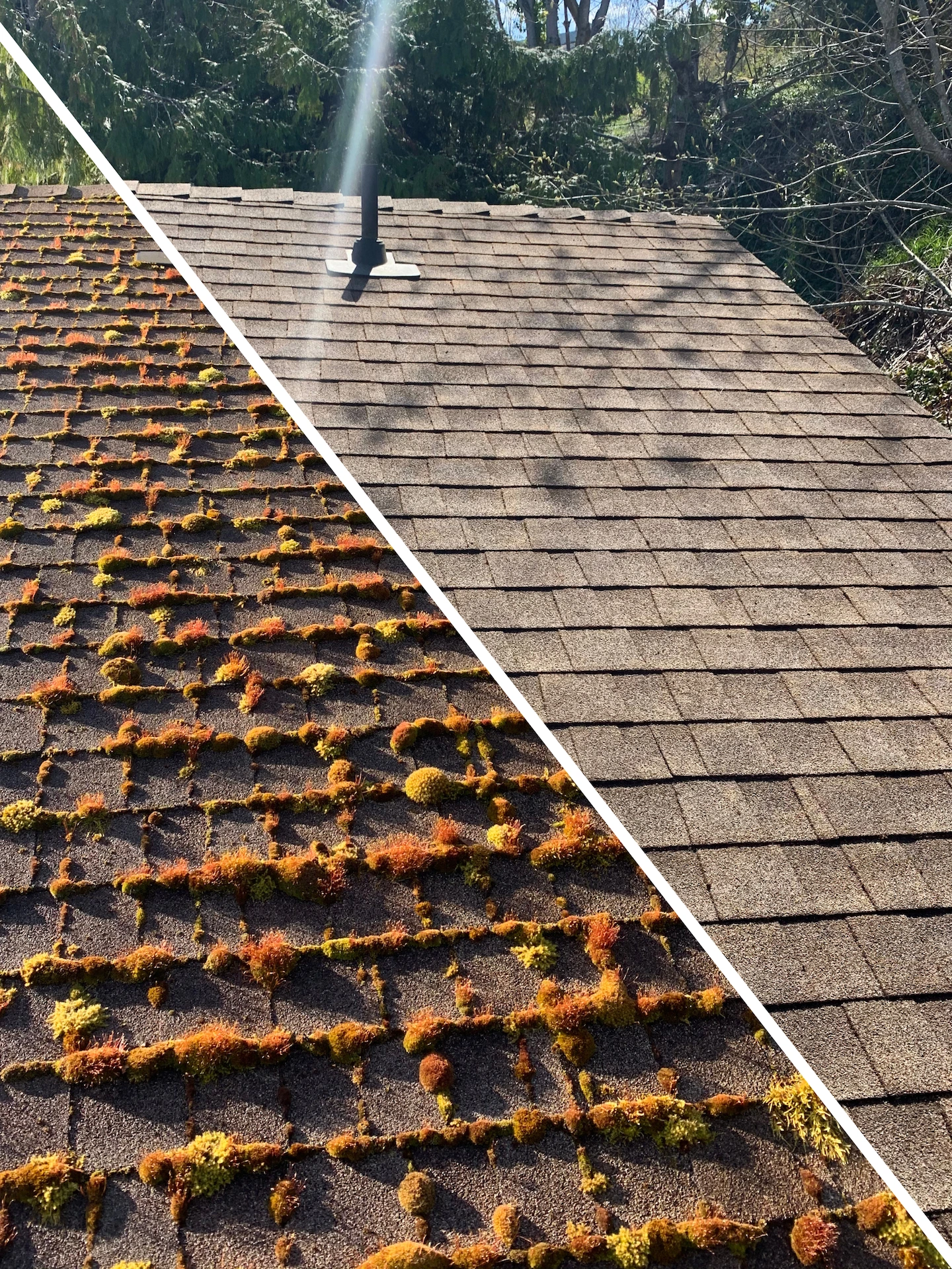 Before and after photo of roof demossing by Mr. Sparkle